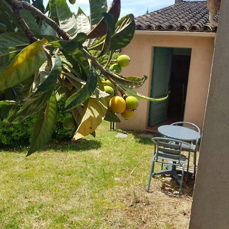 Grand Studio La Roquette-sur-Siagne 外观 照片